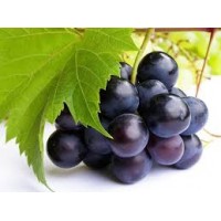 Grapes Black Premium